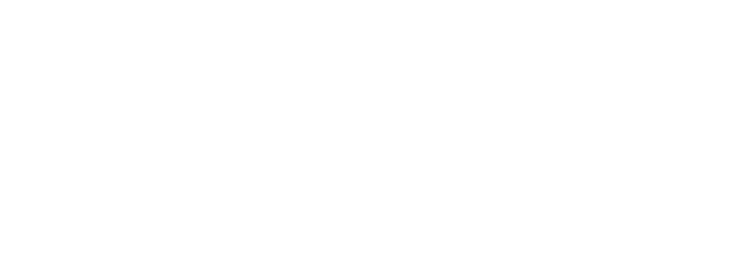 Strategic Insights Consult